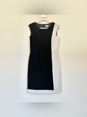 Calvin Klein Black and Cream Colorblock Sleeveless Sheath Dress